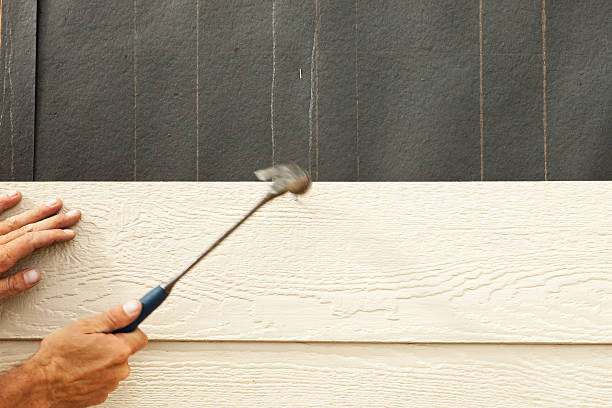 Best Siding Removal and Disposal  in Tn Lakes, WI